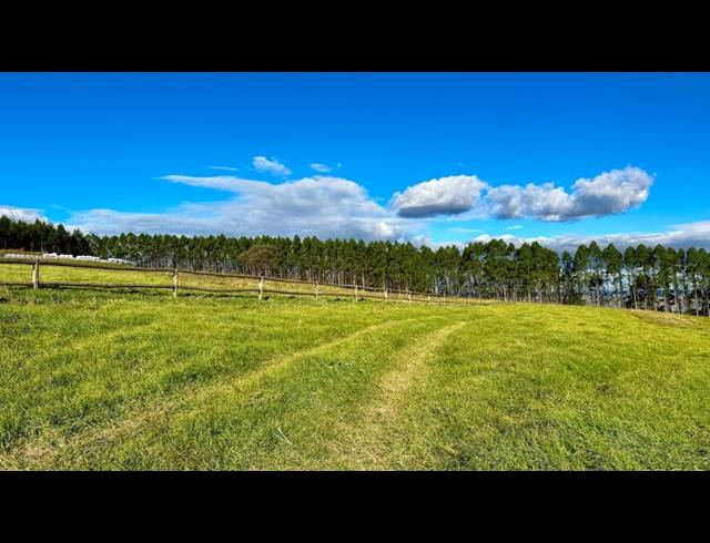 FARM FOR SALE IN MOUNT VERDE